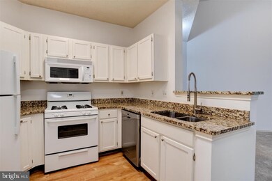 4404 Helmsford Ln unit 201, Fairfax, VA 22033 - photo 7