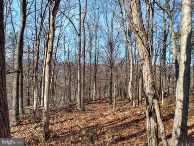 B Timber Ridge Rd, Berkeley Springs, WV 25411 - photo 2
