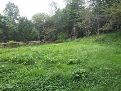 75 Cemetery Rd, Hughesville, PA 17737 - photo 6