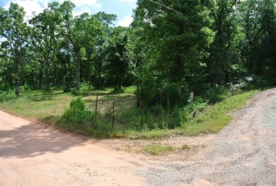 22356 Juanita Ln, Tecumseh, OK 74873 - photo 4