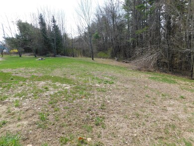 Left Side Yard
