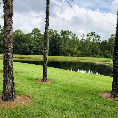 11707 Newberry Grove Loop, Riverview, FL 33579 - photo 7