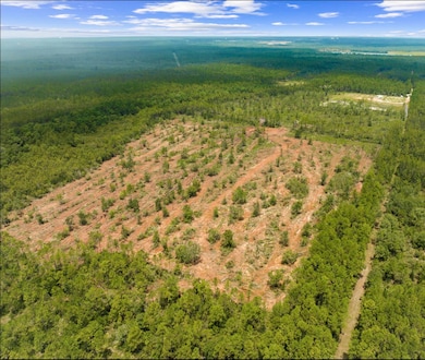 1628 Joe Dugger Rd, Freeport, FL 32439 - photo 6