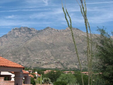 View of Catalinas from Courtyard