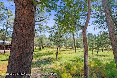 112 Course View Dr, Ruidoso, NM 88345 - photo 2