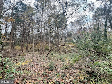 0 Greenway Ln unit VAPA2005538, Luray, VA 22835 - photo 2