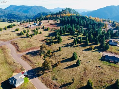 41 Bugle Loop unit 41, Oakridge, OR 97463 - photo 4