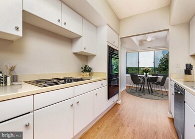 Watermark Place unit 1003, Columbia, MD 21044 - photo 6