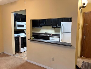 Unit 215 Kitchen 1.jpeg