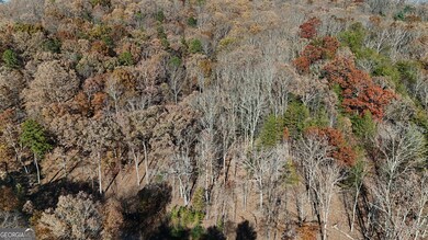 LOT 183 N Shore Dr, Cleveland, GA 30528 - photo 5