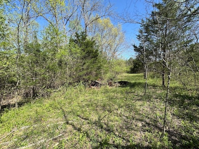 0 Canoe Branch Rd unit RTC3047448, Lebanon, TN 37087 - photo 2