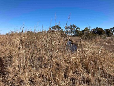 282 Bayview Dr, Stumpy Point, NC 27978 - photo 5