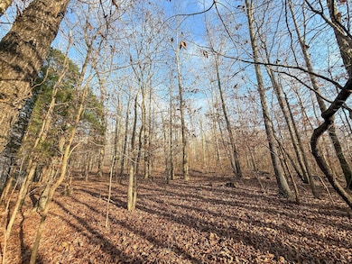 0 Hellsneck Ln unit 25649761, Waverly, TN 37185 - photo 3