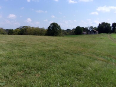 350 Coulter Cook Ln, Bloomfield, KY 40008 - photo 7