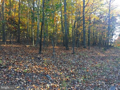 0 Cardinal View Rd unit 1003658583, Augusta, WV 26704 - photo 4