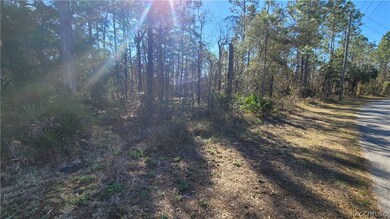 166 Daisy St, Homosassa, FL 34446 - photo 2