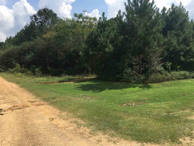 4 Hickory Ln unit 4, Mount Olive, MS 39119 - photo 3