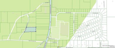 XX Andrew Spears Rd, Crawfordville, FL 32327 - photo 5