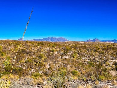 34952 Mariposa Dr, Terlingua, TX 79852 - photo 3