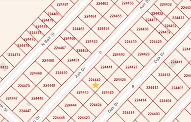 0 Ash Dr, Brazoria, TX 77422 - photo 5