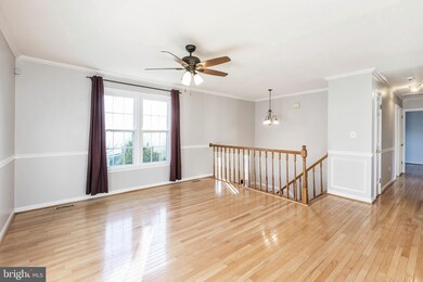 13136 Broadmore Rd, Silver Spring, MD 20904 - photo 4