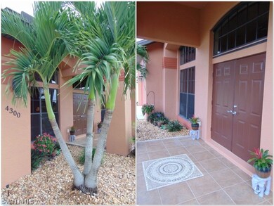 Beautiful landscaping: a cheerful Christmas palm g