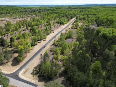 1007 E Solaris Way, Maple City, MI 49664 - photo 3