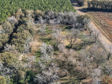 720 Wise Rd, Plains, GA 31780 - photo 5