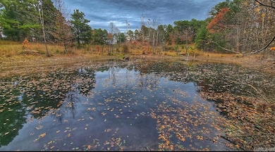 000 Elba Rd, Clinton, AR 72031 - photo 2