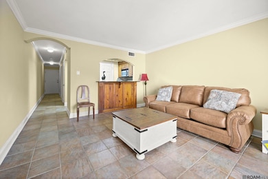 2045 N 3rd St unit 111, Baton Rouge, LA 70802 - photo 4