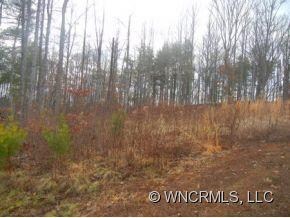 22 Mountain Shadows Dr, Leicester, NC 28748 - photo 6