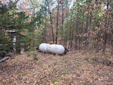 174B Deer Run Trail, Moyers, OK 74523 - photo 5