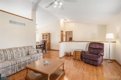 319 Shady Oak Ct, Saint Clair, MO 63077 - photo 6