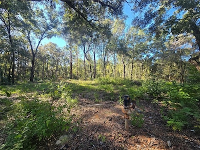 4322 N Carl G Rose Hwy, Hernando, FL 34442 - photo 7