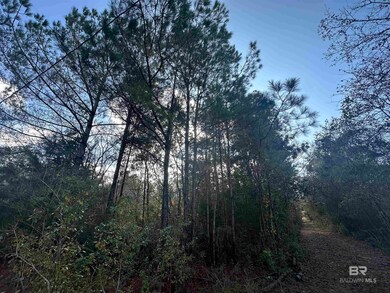 0 Patterson Rd unit 388847, Robertsdale, AL 36567 - photo 5