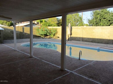 Back yard and pool