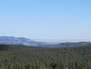 IMG_6709