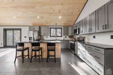 14 Upper Cady Rd, Old Chatham, NY 12136 - photo 4