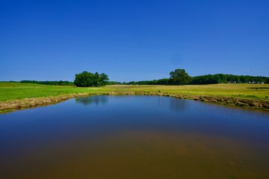 1 Browntown Rd, Sparta, TN 38583 - photo 6