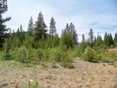 0 Sumpter Granite Hwy unit 12597144, Sumpter, OR 97877 - photo 4