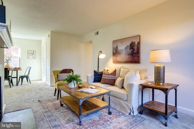 2611 Arlington Blvd unit 102, Arlington, VA 22201 - photo 4