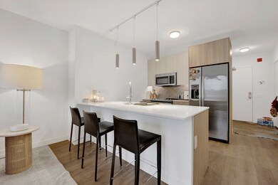 350 N Canal St unit 1109, Chicago, IL 60606 - photo 6