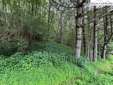 00 Laurel Chase Dr, Blowing Rock, NC 28605 - photo 2