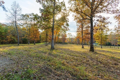 0 Monteagle Falls Rd unit 233127, Monteagle, TN 37356 - photo 5