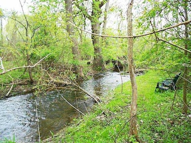 Other. Stream near the  property line in the back 