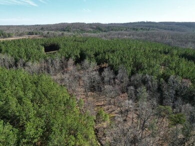 Tract 5 Thomas Springs Rd, Crossville, TN 38572 - photo 6
