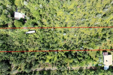 0 Pikake St unit 725043, Mountain View, HI 96771 - photo 7