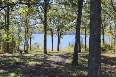 369 Tulip Rd, Kimberling City, MO 65686 - photo 2