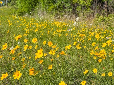 0 Tbd Hwy 69, Woodville, TX 75979 - photo 5