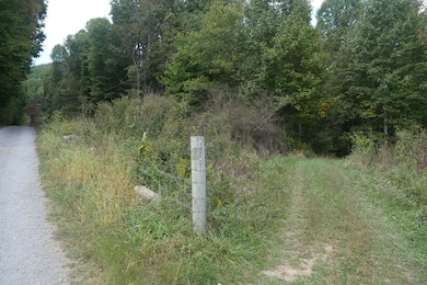 TBD Bryson Cove Rd, Abingdon, VA 24210 - photo 2